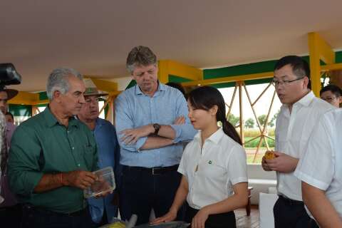Indústria de milho chinesa começa a operar em outubro em Maracaju