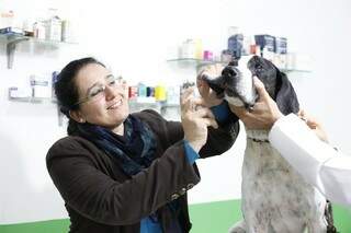 A dra. Mônica de Souza cuidando de um amiguinho no pet shop. (Foto: Divulgação)