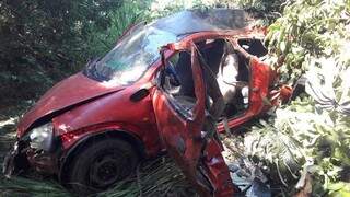 Motorista b&ecirc;bado bate em &aacute;rvore e morre &agrave;s margens de rodovia