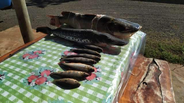 Tr&ecirc;s idosos de SP ignoram pandemia e s&atilde;o flagrados pescando em MS