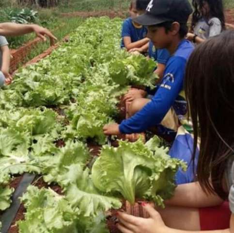 MP cobra alimenta&ccedil;&atilde;o para alunos sem aula em escolas municipais