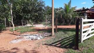 Tr&ecirc;s idosos de SP ignoram pandemia e s&atilde;o flagrados pescando em MS