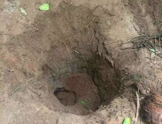 Padrasto aproveitou viagem para abusar de menina que foi morta pela m&atilde;e