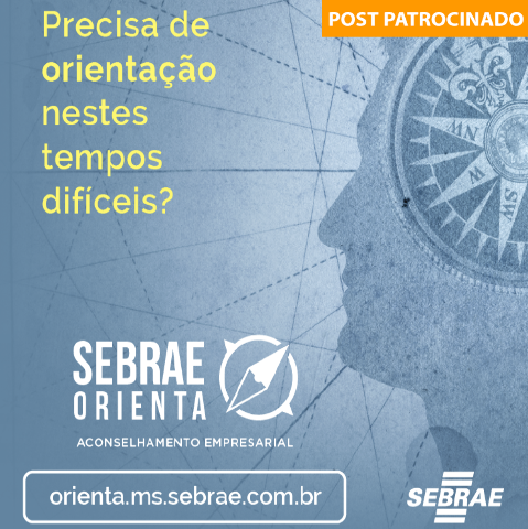 Sebrae orienta gratuitamente empresários impactados 