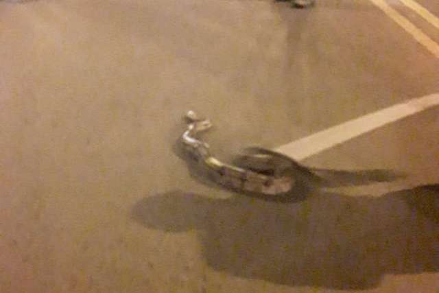 Motorista v&ecirc; jiboia e a ajuda &ldquo;atravessar&rdquo; a rua