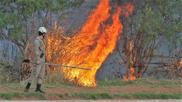 O m&ecirc;s nem acabou, mas inc&ecirc;ndios superam em 133% o mesmo per&iacute;odo do ano passado 