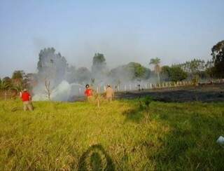 Bombeiros combatem incêndio em vegetação (Foto: Arquivo/Campo Grande News)