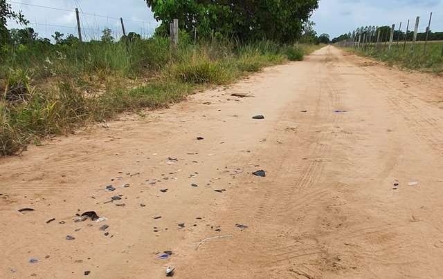 Motociclista morre depois de atropelar touro em estrada rural