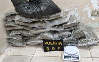 Pacotes de supermaconha que foram encontrados no veículo e na casa da traficante. (Foto: Divulgação/DOF) 