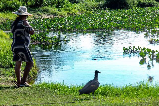 Calor n&atilde;o protege do coronav&iacute;rus, isolamento sim, alerta infectologista