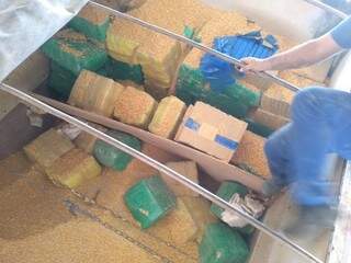 Momento em que o milho estava sendo descarregado da carreta. (Foto: Divulgação/PMRSP)