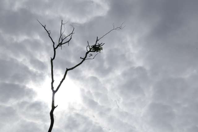 Inmet alerta para tempestade e ventos at&eacute; 60 km/h em 47 munic&iacute;pios