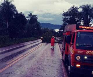 Chuvas fortes e ventania derrubam &aacute;rvores em casas e na estrada