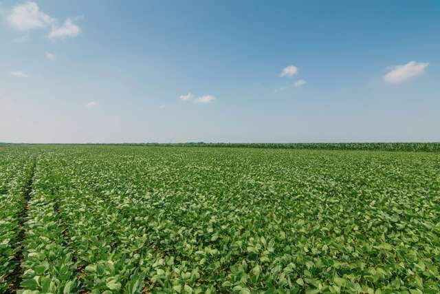 MP do Agro &eacute; sancionada e pode trazer mais recursos para o Estado