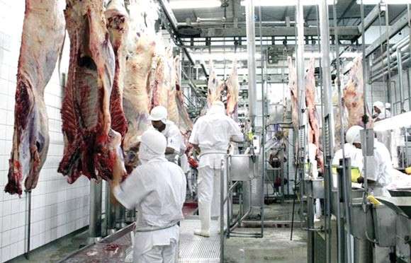 Estado habilita sete frigor&iacute;ficos pra exportar carne de boi e aves para o Egito