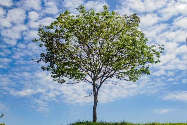 Fim de semana de P&aacute;scoa ter&aacute; sol, calor de at&eacute; 34&deg;C e baixa umidade do ar em MS