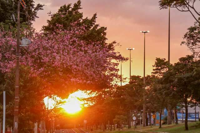 Campo Grande ter&aacute; s&aacute;bado sem chuva e no Estado, m&aacute;xima chega a 34&ordm;C