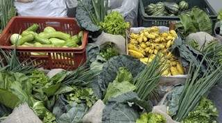 Alimentos da agricultura familiar em MS (Foto: Divulgação - Governo MS)