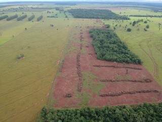 Desmatamento de 6 hectares de Mata Atl&acirc;ntica gera multa de R$ 42 mil a produtor