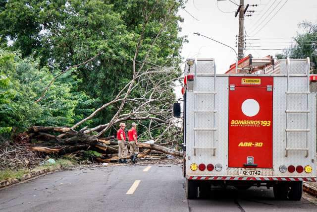 Temporal da madrugada deixou 18 bairros sem energia em Campo Grande