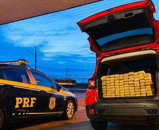 Preso com 100 kg de maconha, homem diz que traficava para quitar d&iacute;vida 