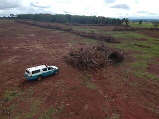 Desmatamento de 6 hectares de Mata Atl&acirc;ntica gera multa de R$ 42 mil a produtor