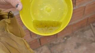 Em 15 dias, coronavírus já mata tanto quanto dengue em MS Em 15 dias, coronavírus já mata tanto quanto dengue em MS
