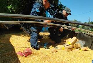 Paranaense flagrado com 5,5 toneladas de maconha &eacute; liberado da pris&atilde;o 