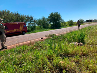 Ciclista &eacute; atropelado e encontrado morto &agrave;s margens de rodovia 
