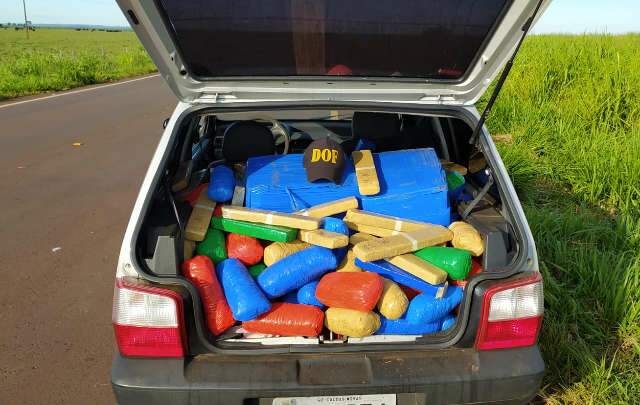Homem abandona Fiat Uno abarrotado com 660 kg de maconha e some no milharal
