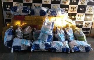 Traficante &eacute; preso com quase 1,5 tonelada de maconha ao ser parado em bloqueio 