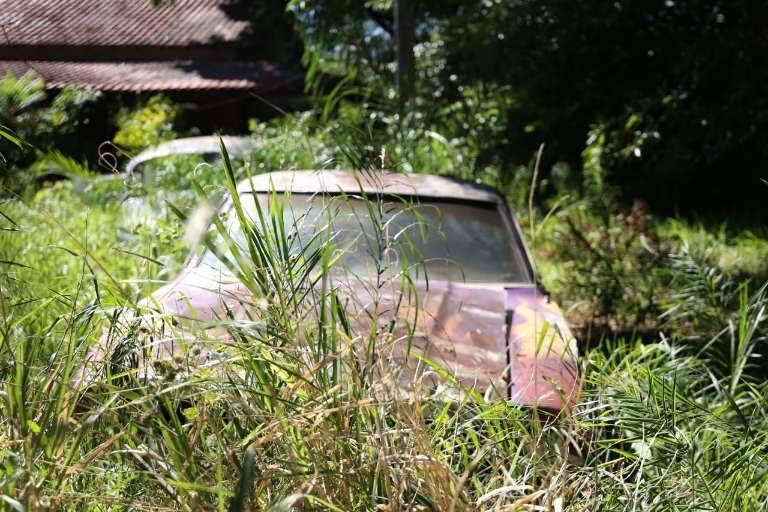 Carro se mistura ao mato em pátio particular. (Foto: Paulo Francis)