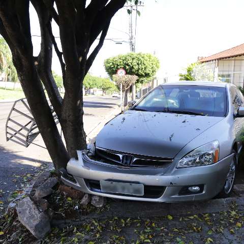 Desgovernado na descida, carro derruba grade de casa e para ap&oacute;s bater em &aacute;rvore