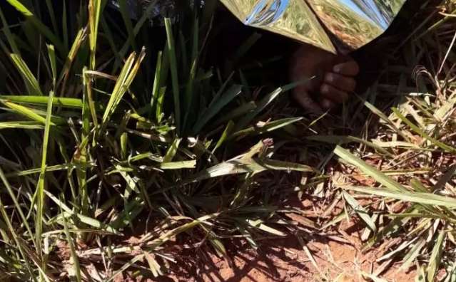 Mortos pela PM tentavam jogar drogas e celulares em pres&iacute;dio