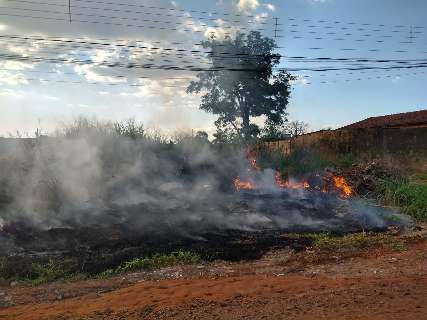 Fogo destrói vegetação em terreno e alerta para riscos à saúde de moradores