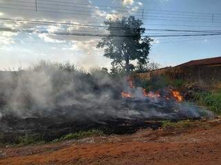 Parte da vegetação de terreno na Rua Delcides Mariano ficou destruída após incêndio (Foto: Direto das Ruas)