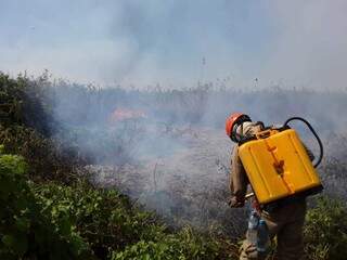 Força-tarefa iniciou combate às chamas na região do Pantanal (Foto: Instituto Homem Pantaneiro)