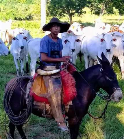 Jovem de 25 anos morre ap&oacute;s explos&atilde;o de fossa em fazenda 