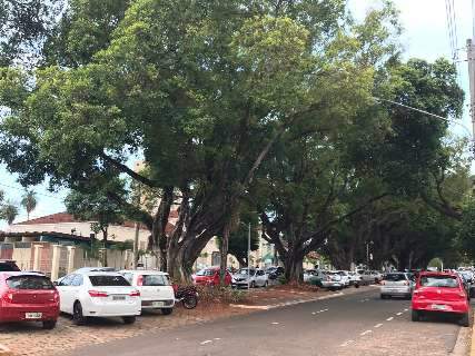 Governo lança licitação de R$ 5,3 milhões para revitalizar a Avenida Mato Grosso