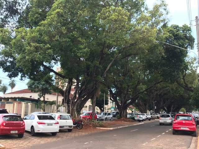 Governo lan&ccedil;a licita&ccedil;&atilde;o de R$ 5,3 milh&otilde;es para revitalizar a Avenida Mato Grosso