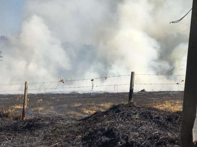 Terreno pega fogo no Mata do Segredo e moradores sofrem com fuma&ccedil;a