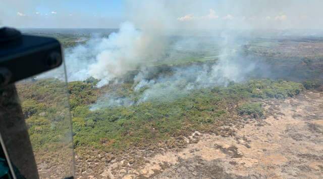 Ap&oacute;s envio de aeronaves, focos de inc&ecirc;ndio no Pantanal come&ccedil;am a ceder