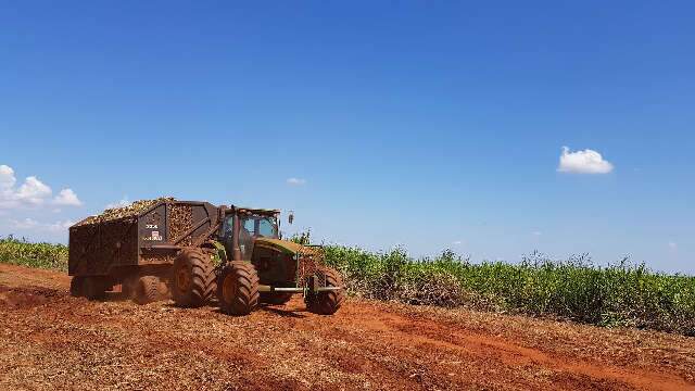 Em crise, usinas de cana poder&atilde;o ter medidas de ajuda do Governo federal