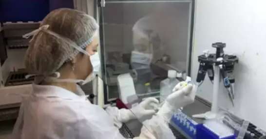 Laborat&oacute;rios privados t&ecirc;m fila de espera por teste do coronav&iacute;rus