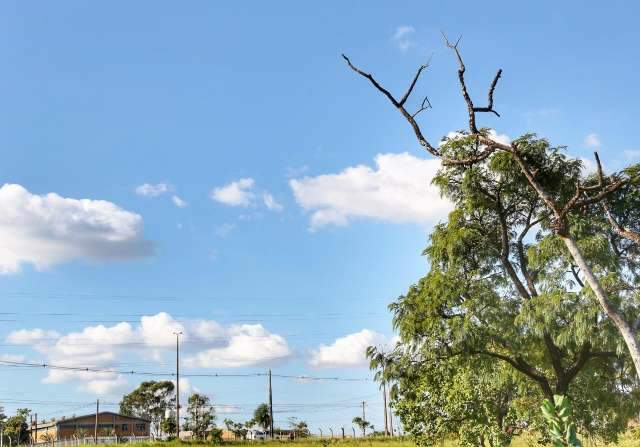 Semana ser&aacute; de umidade em baixa e calor de at&eacute; 38&ordf;C no Estado 