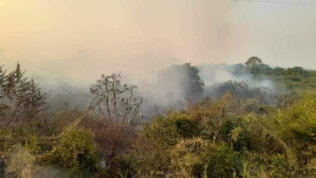 Inc&ecirc;ndio toma conta de regi&atilde;o pr&oacute;xima &agrave; zona urbana no Pantanal