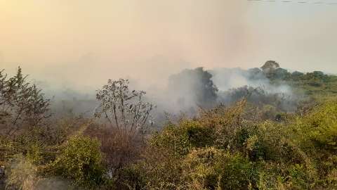 Incêndio toma conta de região próxima à zona urbana no Pantanal