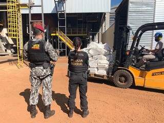 Em ano de apreensões recordes, polícia incinera 10 toneladas de drogas Em ano de apreensões recordes, polícia incinera 10 toneladas de drogas