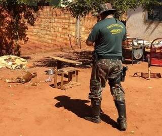 PMA encontra um c&atilde;o morto e dois subnutridos e dona &eacute; multada em R$ 3 mil