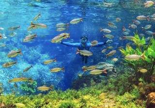 Bonito aposta nas belezas naturais e limitações de pessoas por passeio para atrair turistas (Foto: Márcio Cabral/IDB)